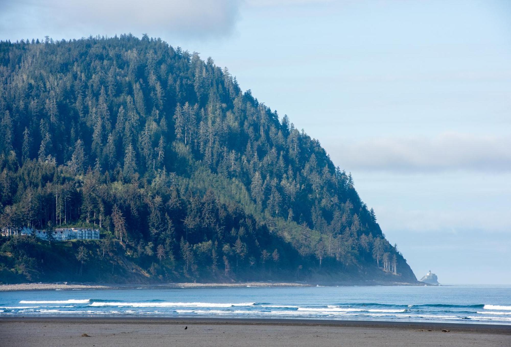 The Ocean Front At Seaside Motel Bagian luar foto